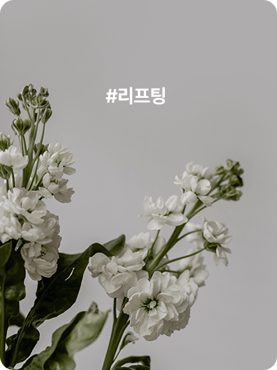 #리프팅
