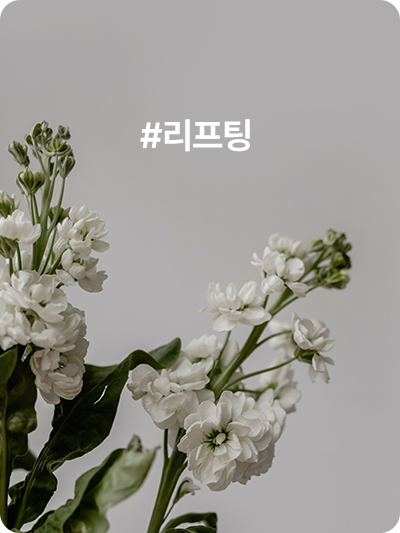 #리프팅