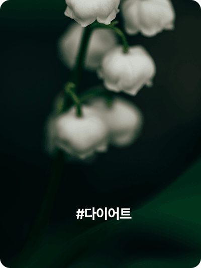 #다이어트