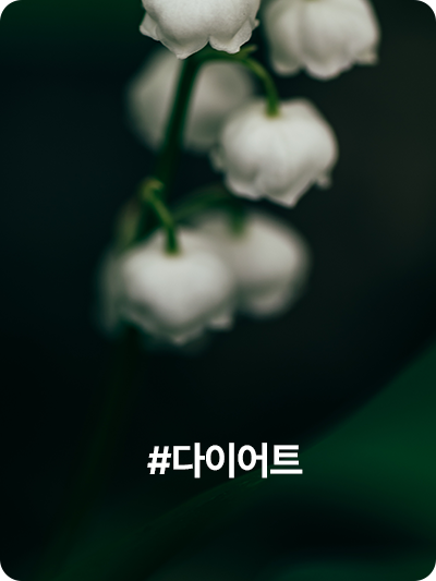 #다이어트