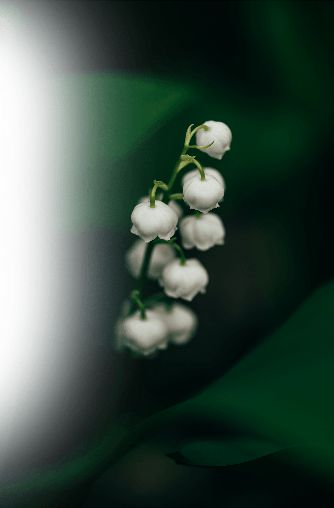 sv_footer01_02