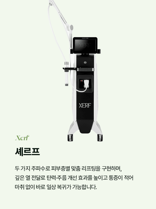 셰르프 Xerf