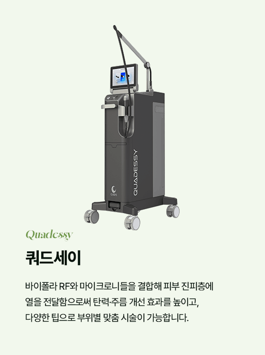 쿼드세이 Quadessy