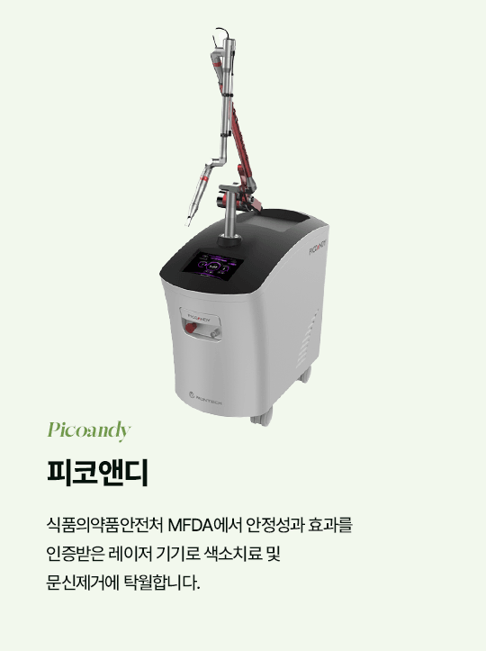 피코앤디 Picoandy