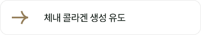 체내 콜라겐 생성 유도
