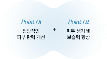 Point 01 Point 02