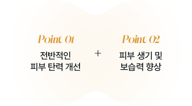 Point 01 Point 02